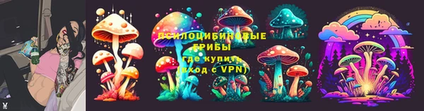apvp Алзамай