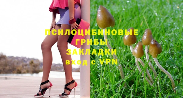 прущие грибы Алексеевка