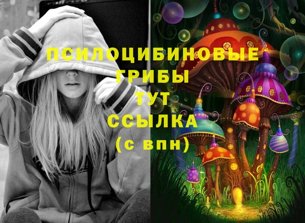 apvp Алзамай