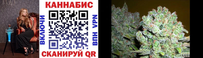 Каннабис семена Сунжа